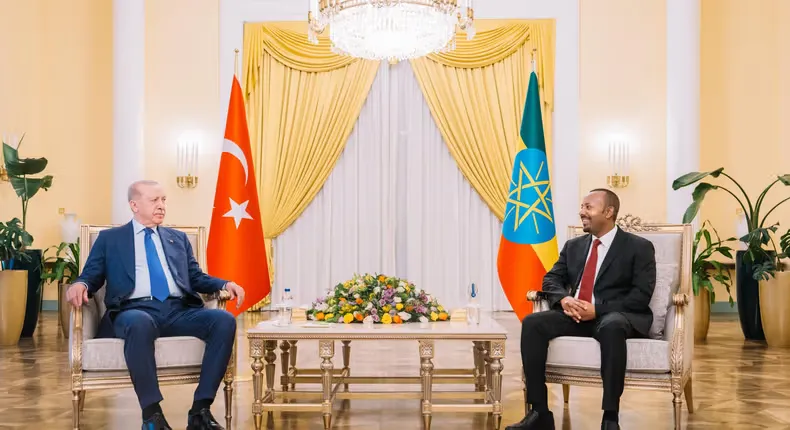 البعد الأمني لزيارة الرئيس أردوغان إلى إثيوبيا 1 البعد الأمني لزيارة الرئيس أردوغان إلى إثيوبيا